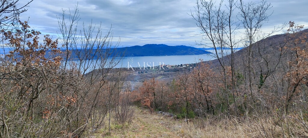 Image 6234745 - 2