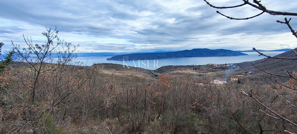 Image 6234745 - 4