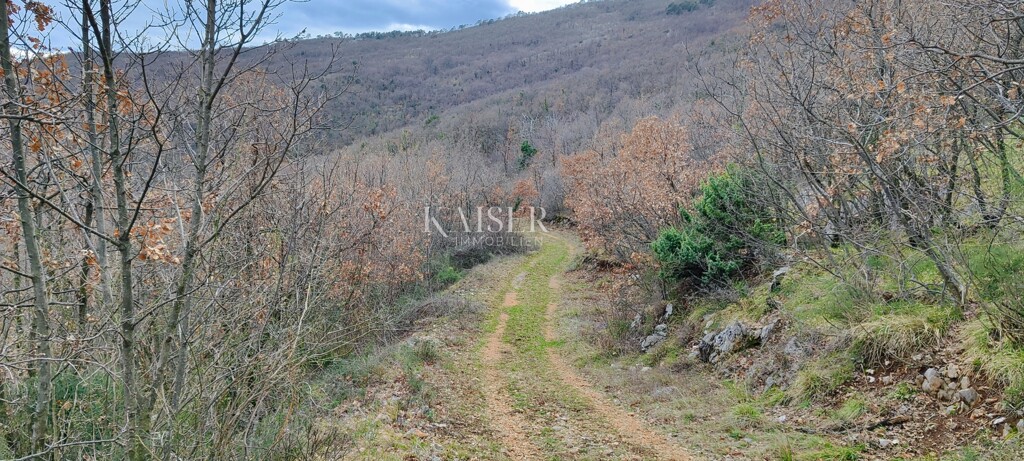Image 6234745 - 6
