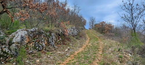 Thumbnail 6234745 - 3