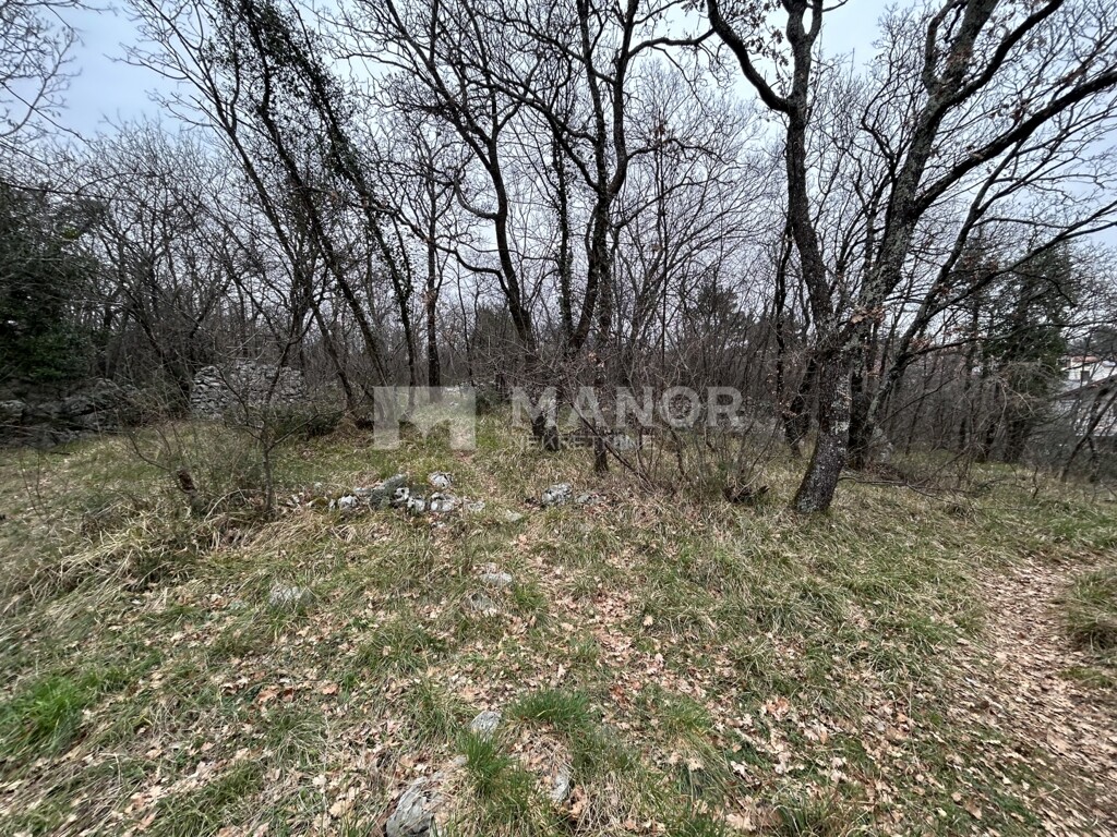 Image 6234750 - 6