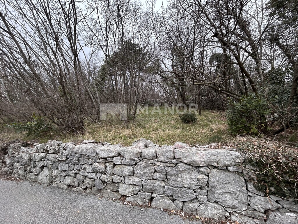 Image 6234750 - 3