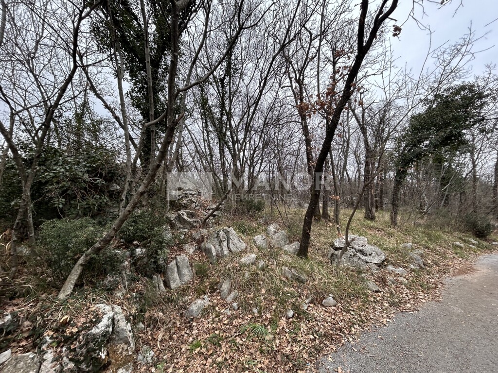 Image 6234750 - 5