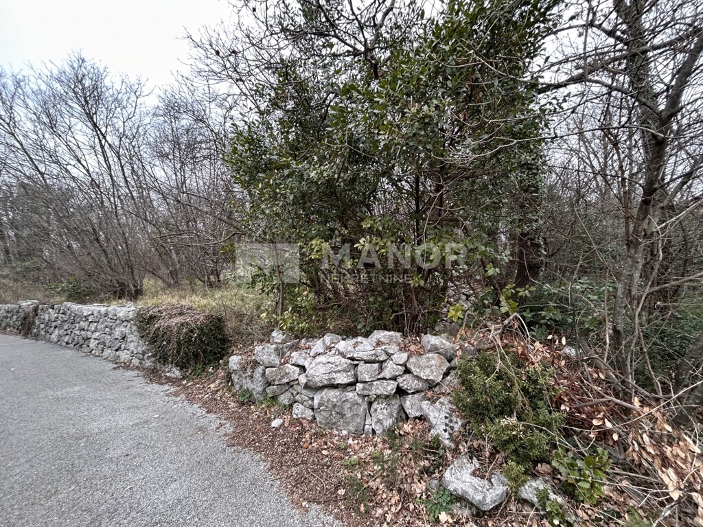 Image 6234750 - 1
