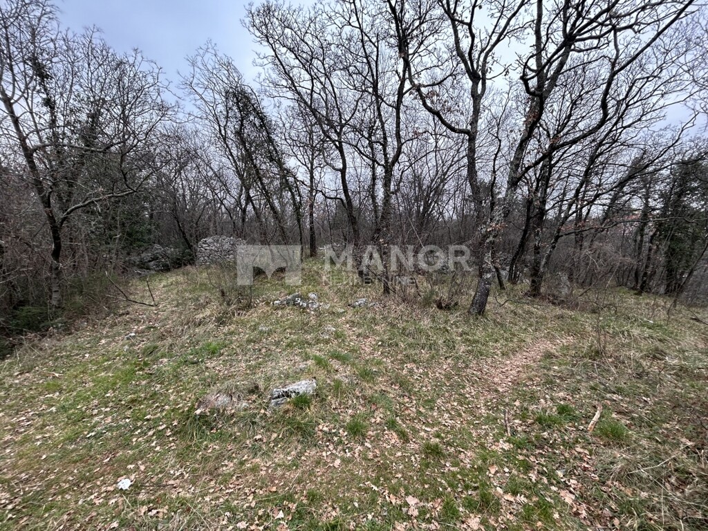 Image 6234750 - 8