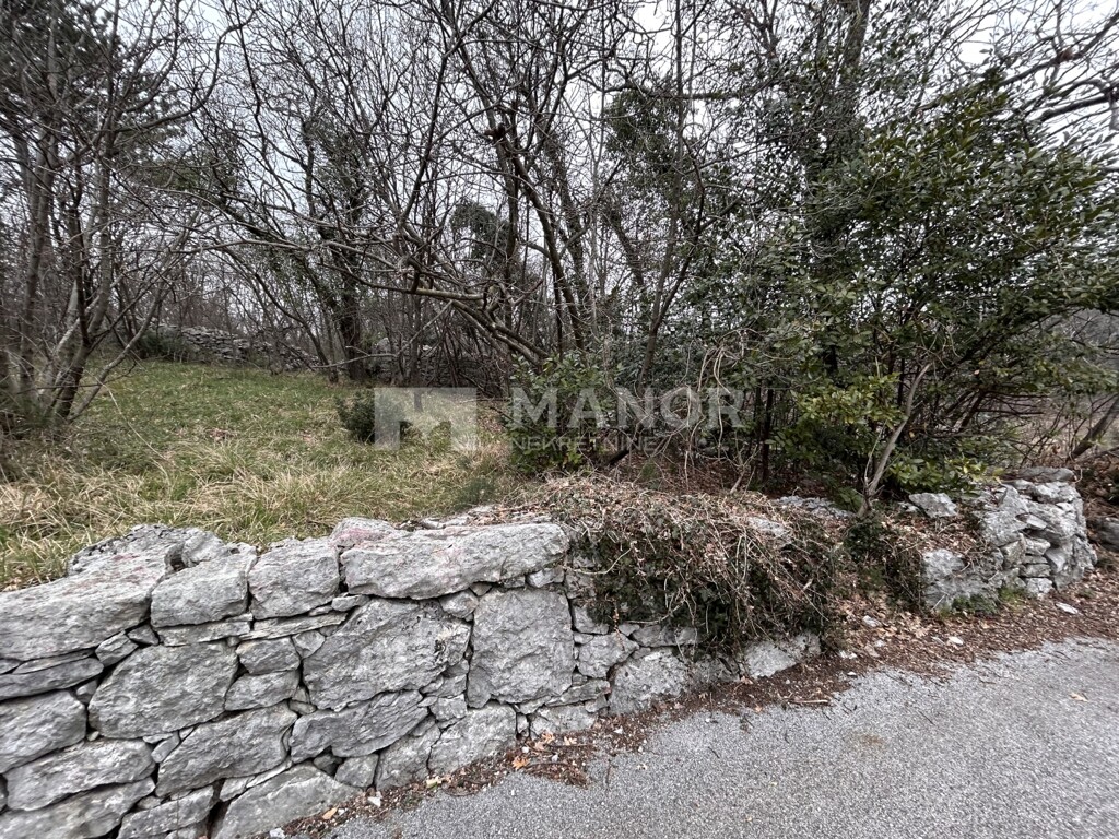 Image 6234750 - 2
