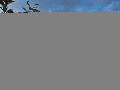 Thumbnail 6234769 - 7