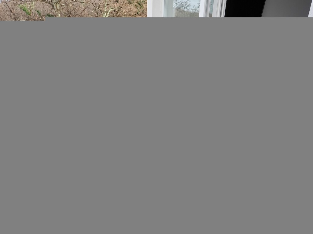 Image 6234769 - 11