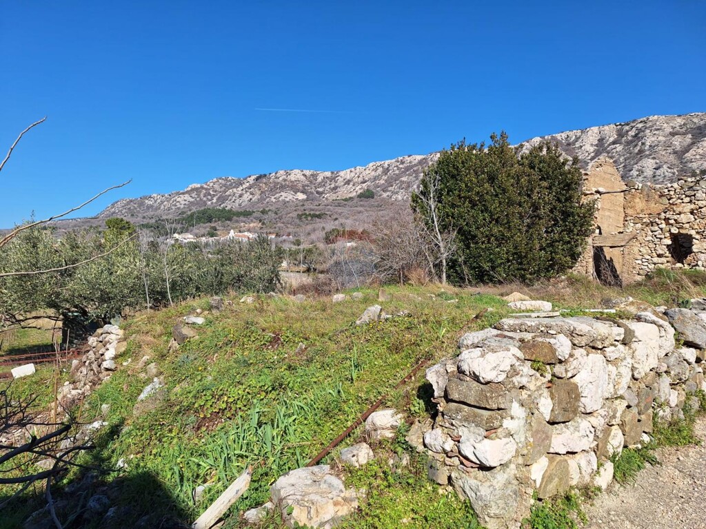 Image 6234770 - 2