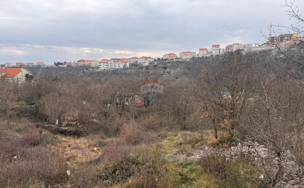 Image 6234777 - 2