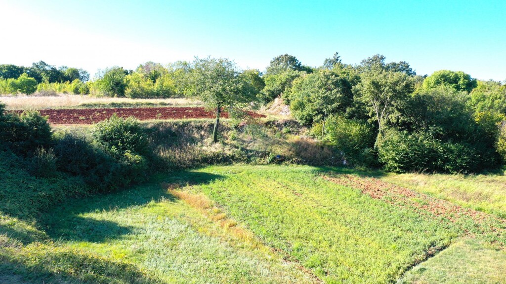 Image 6234787 - 15
