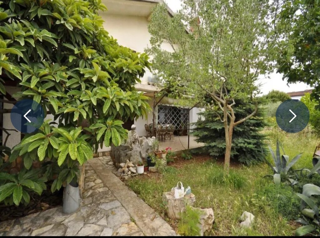 Image 6234799 - 3