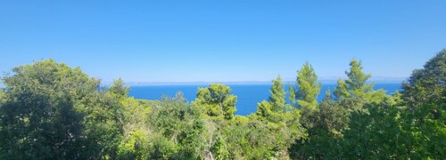 Thumbnail 6234893 - 2
