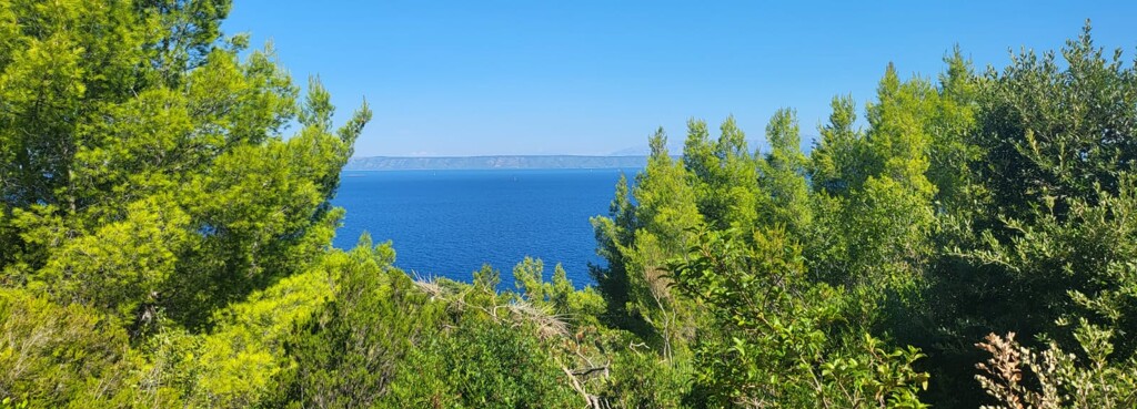 Image 6234893 - 5