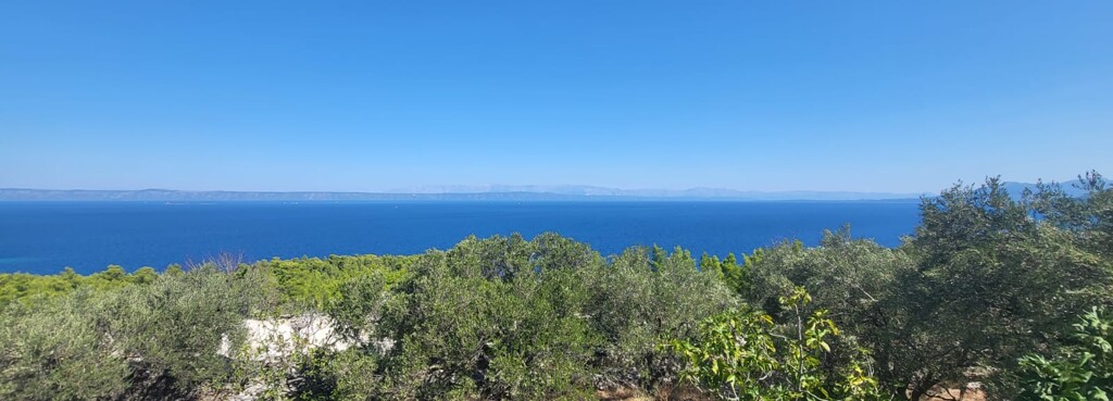 Image 6234893 - 1