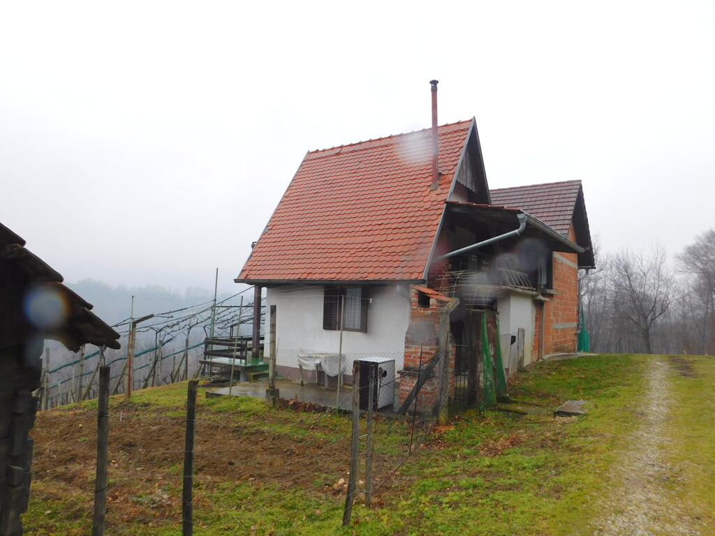 Image 6235017 - 4