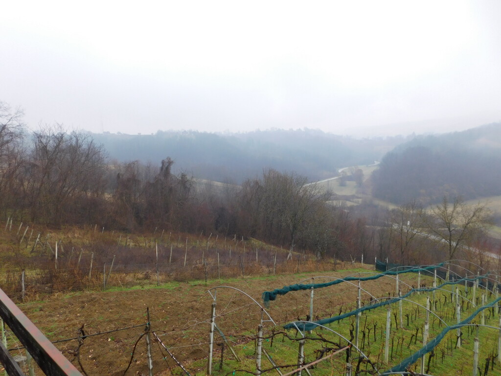 Image 6235017 - 17