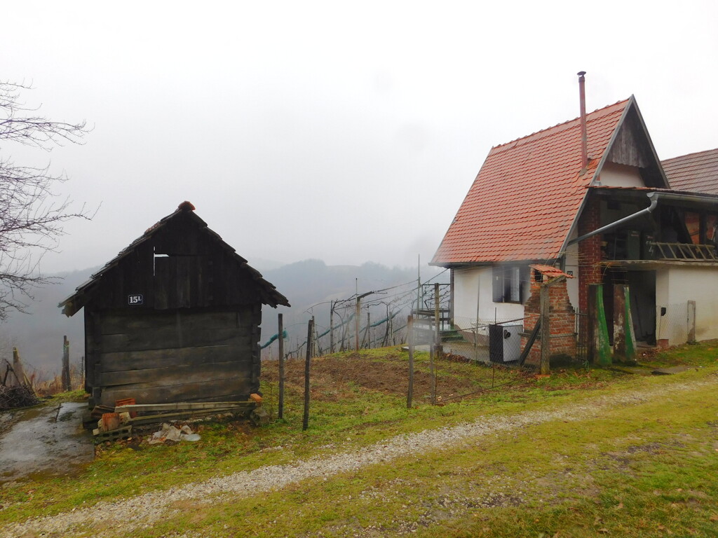 Image 6235017 - 5