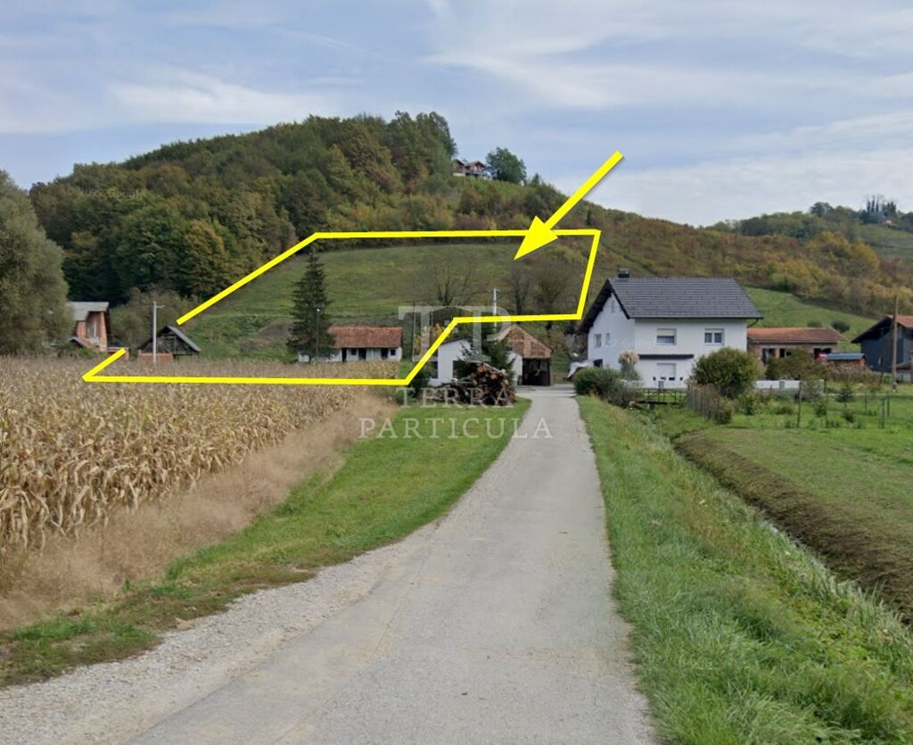 Image 6235197 - 2