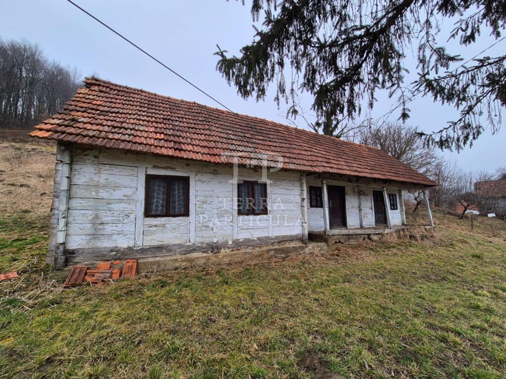 Image 6235197 - 1