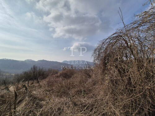 Thumbnail 6235200 - 8