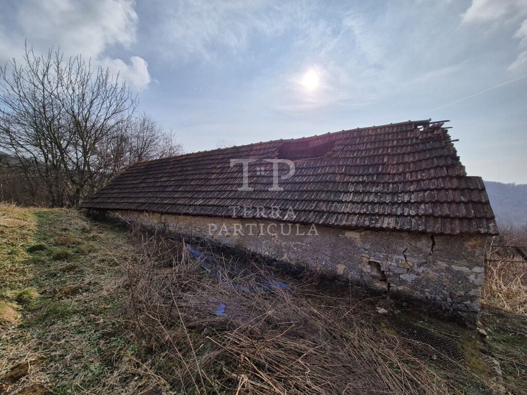 Image 6235200 - 5