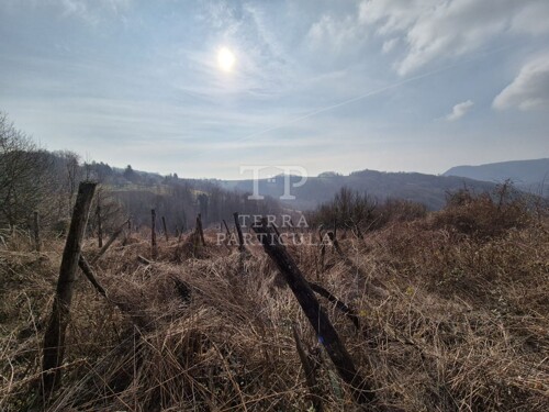 Thumbnail 6235200 - 9