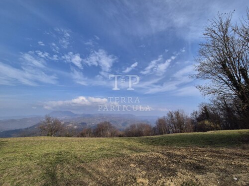 Thumbnail 6235201 - 10