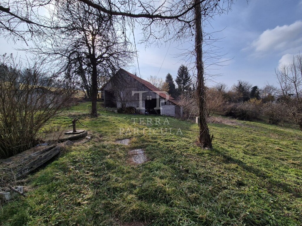 Image 6235201 - 14