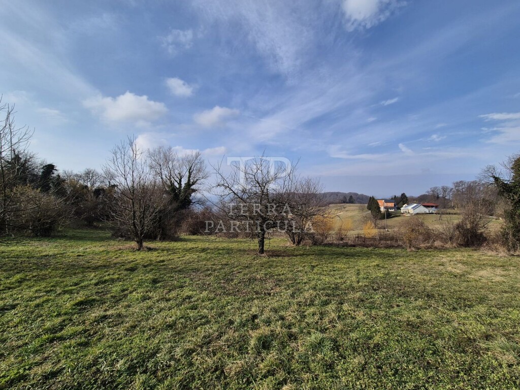 Image 6235201 - 12
