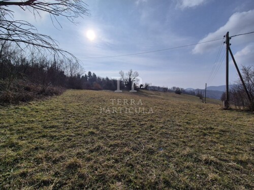Thumbnail 6235201 - 11