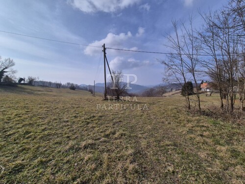 Thumbnail 6235201 - 13