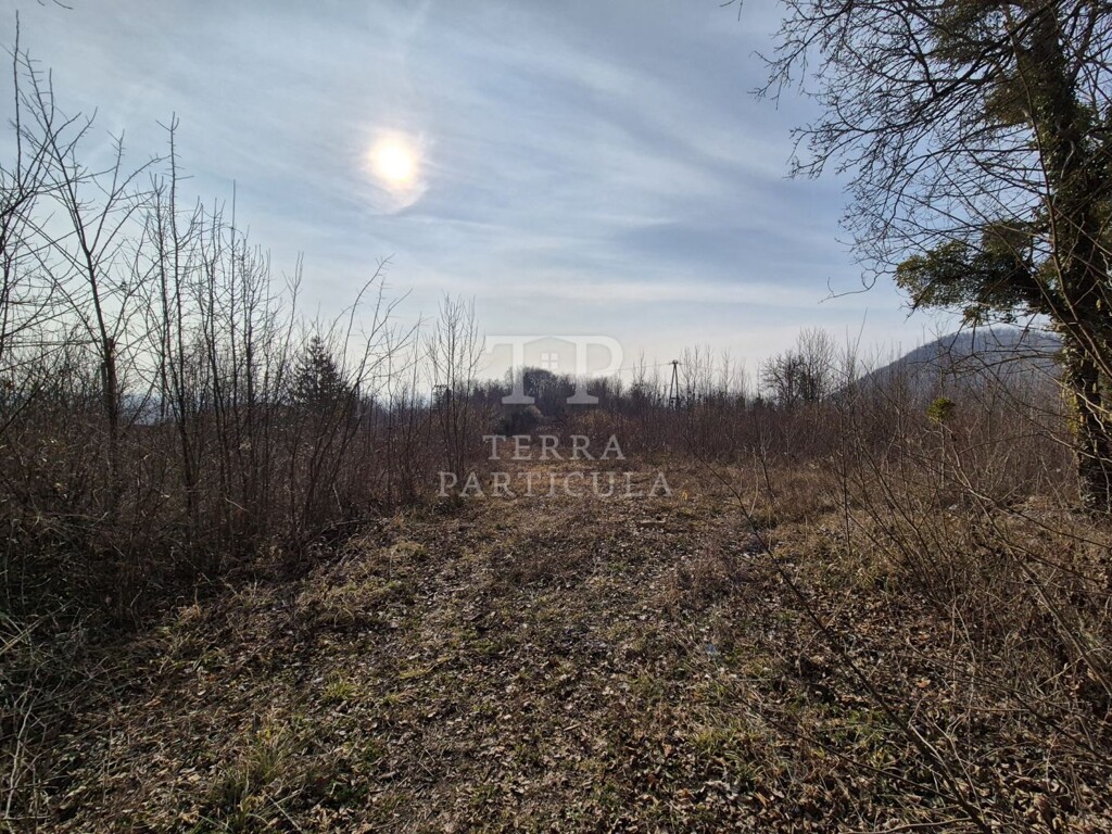 Image 6235202 - 12