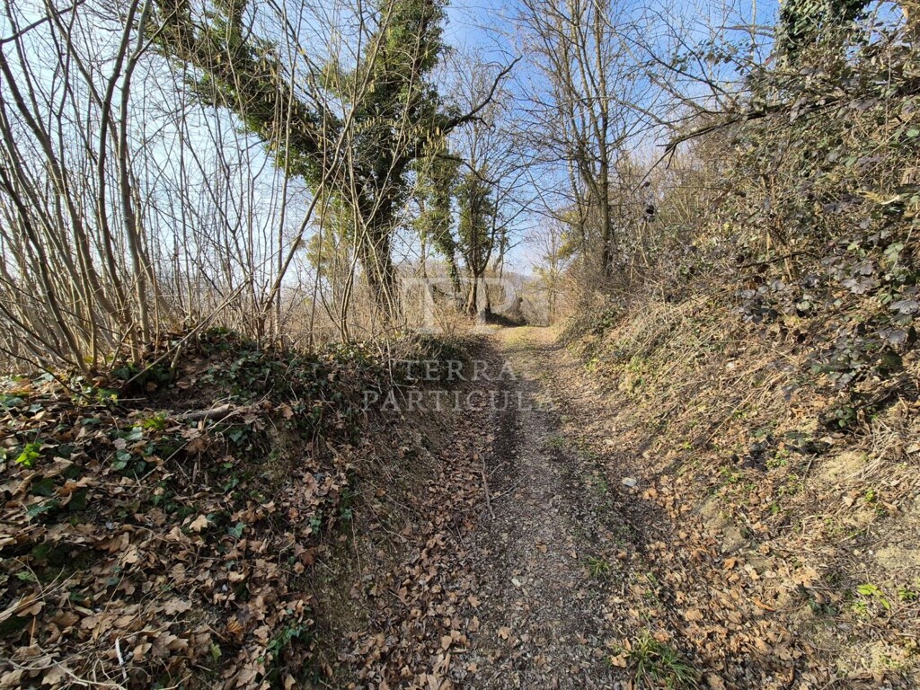 Image 6235202 - 8