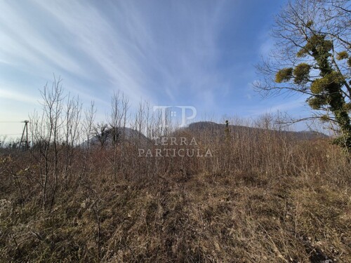 Thumbnail 6235202 - 10