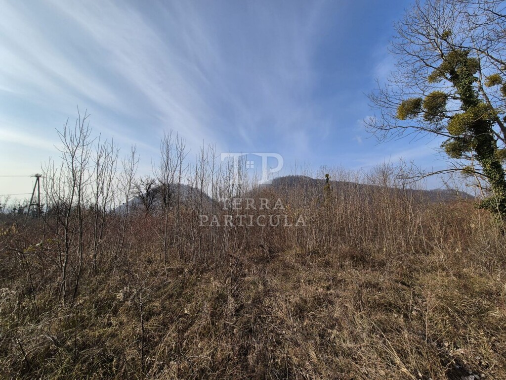 Image 6235202 - 10