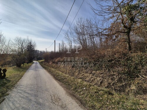 Thumbnail 6235202 - 6
