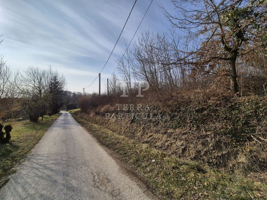 Image 6235202 - 6