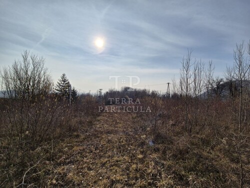 Thumbnail 6235202 - 11