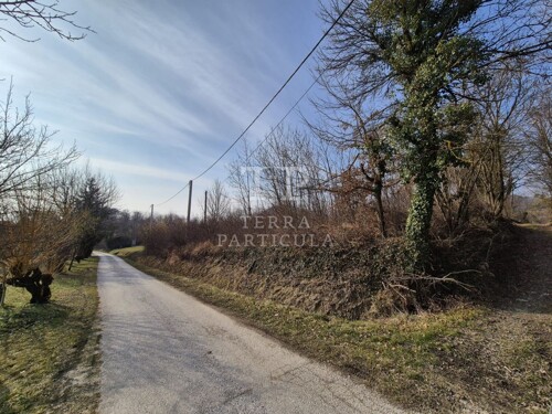 Thumbnail 6235202 - 7
