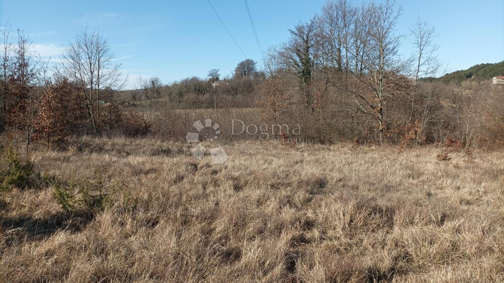 Image 6235216 - 3