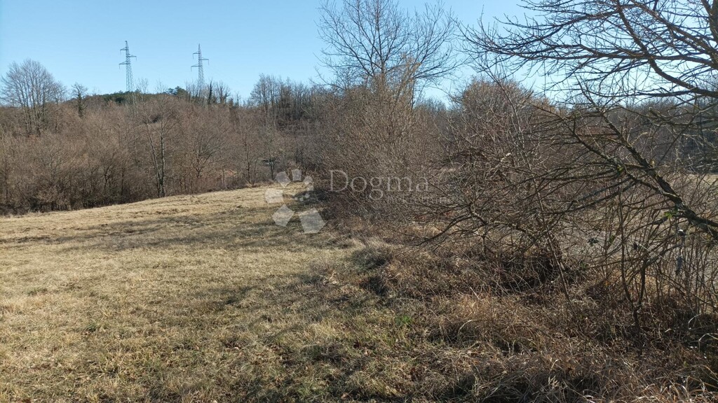 Image 6235217 - 1