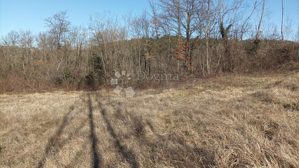Image 6235217 - 2