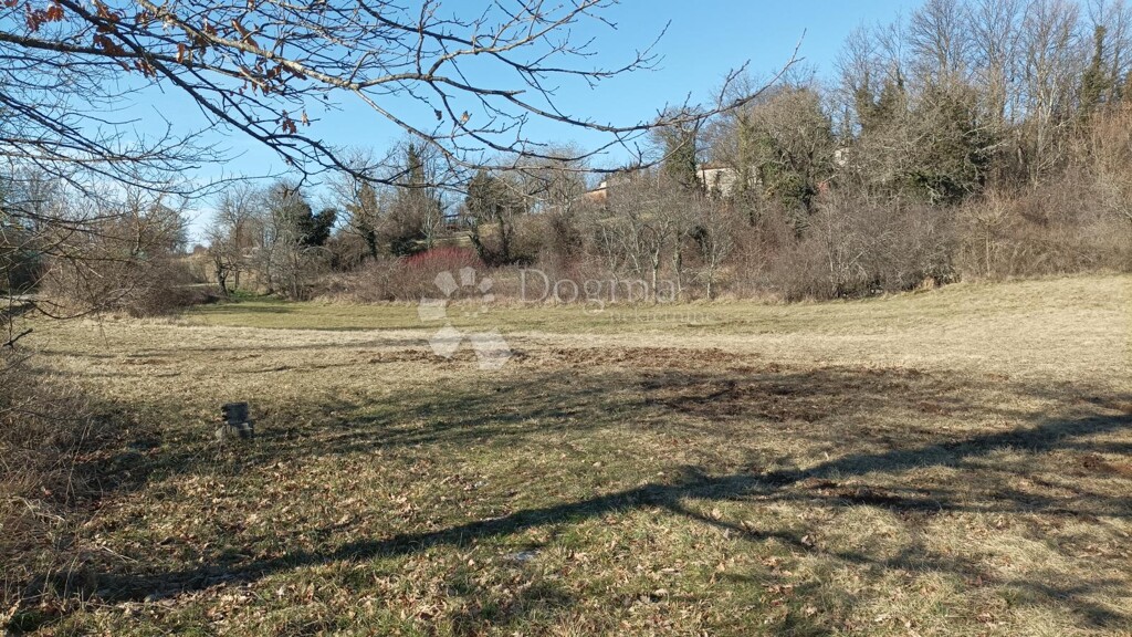 Image 6235218 - 1