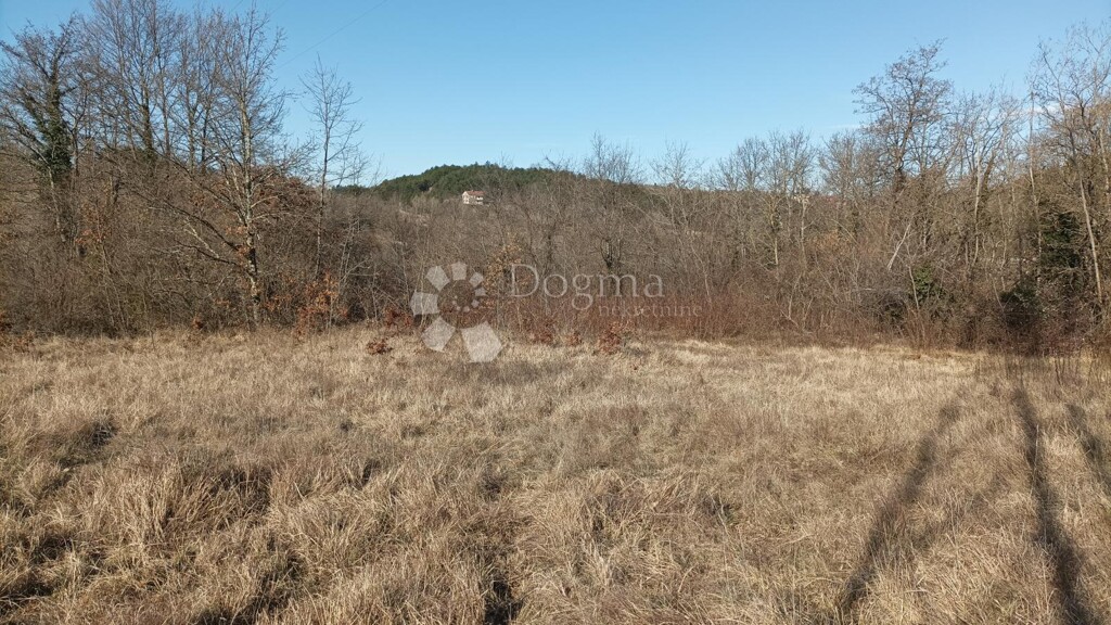 Image 6235218 - 2