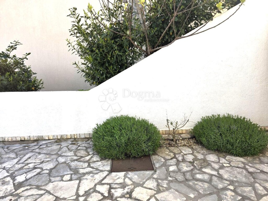 Image 6235219 - 24