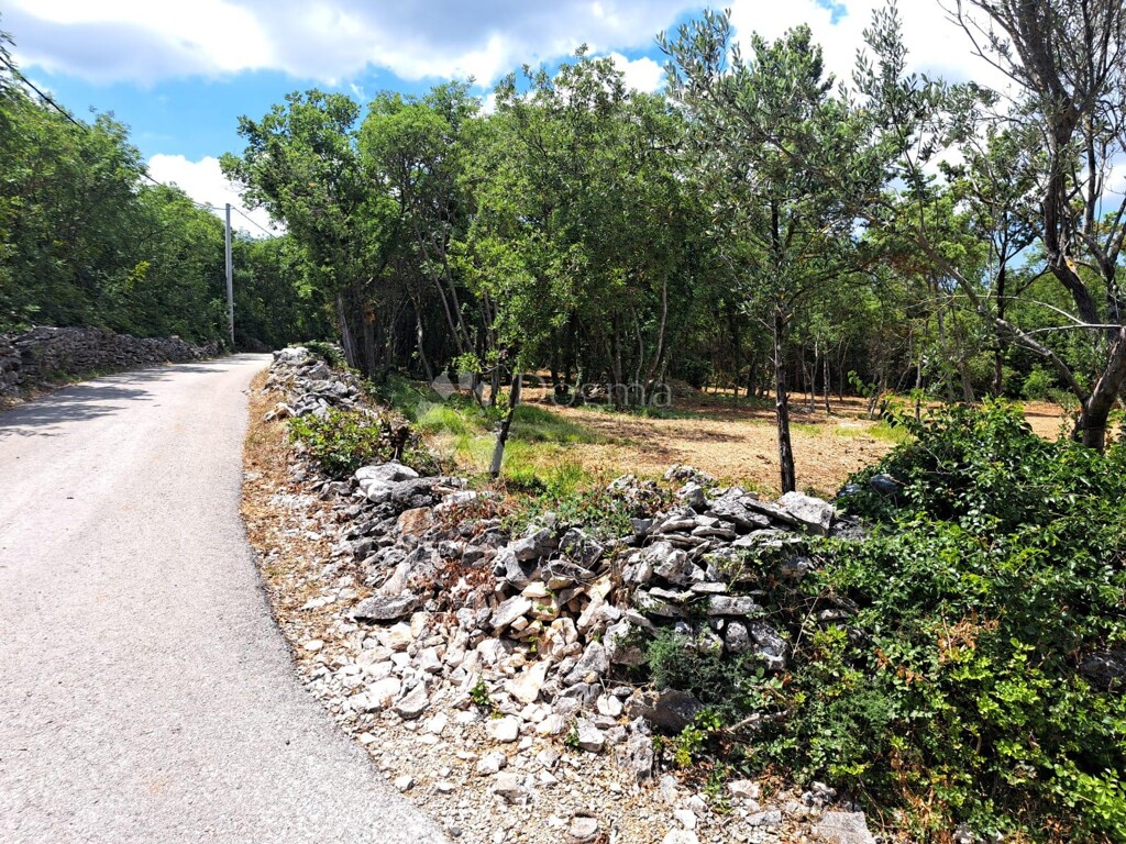 Image 6235226 - 3