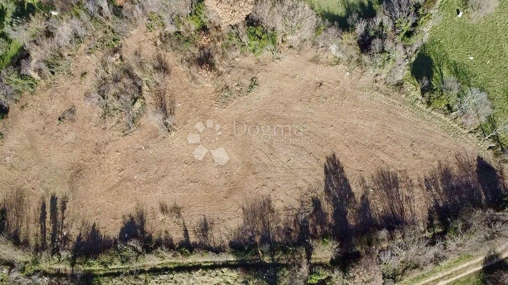 Image 6235257 - 11