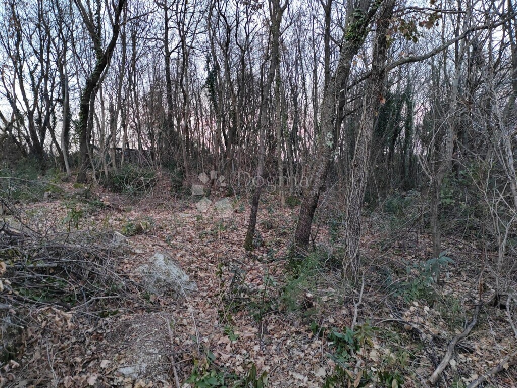 Image 6235259 - 4