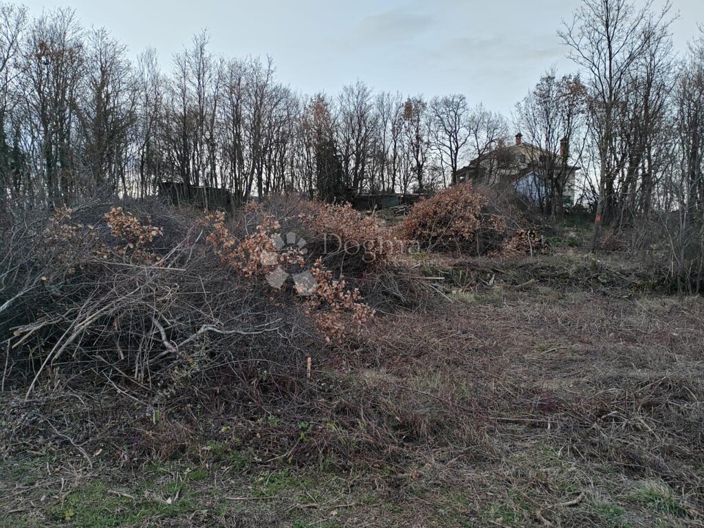 Image 6235259 - 3